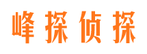 龙凤峰探私家侦探公司